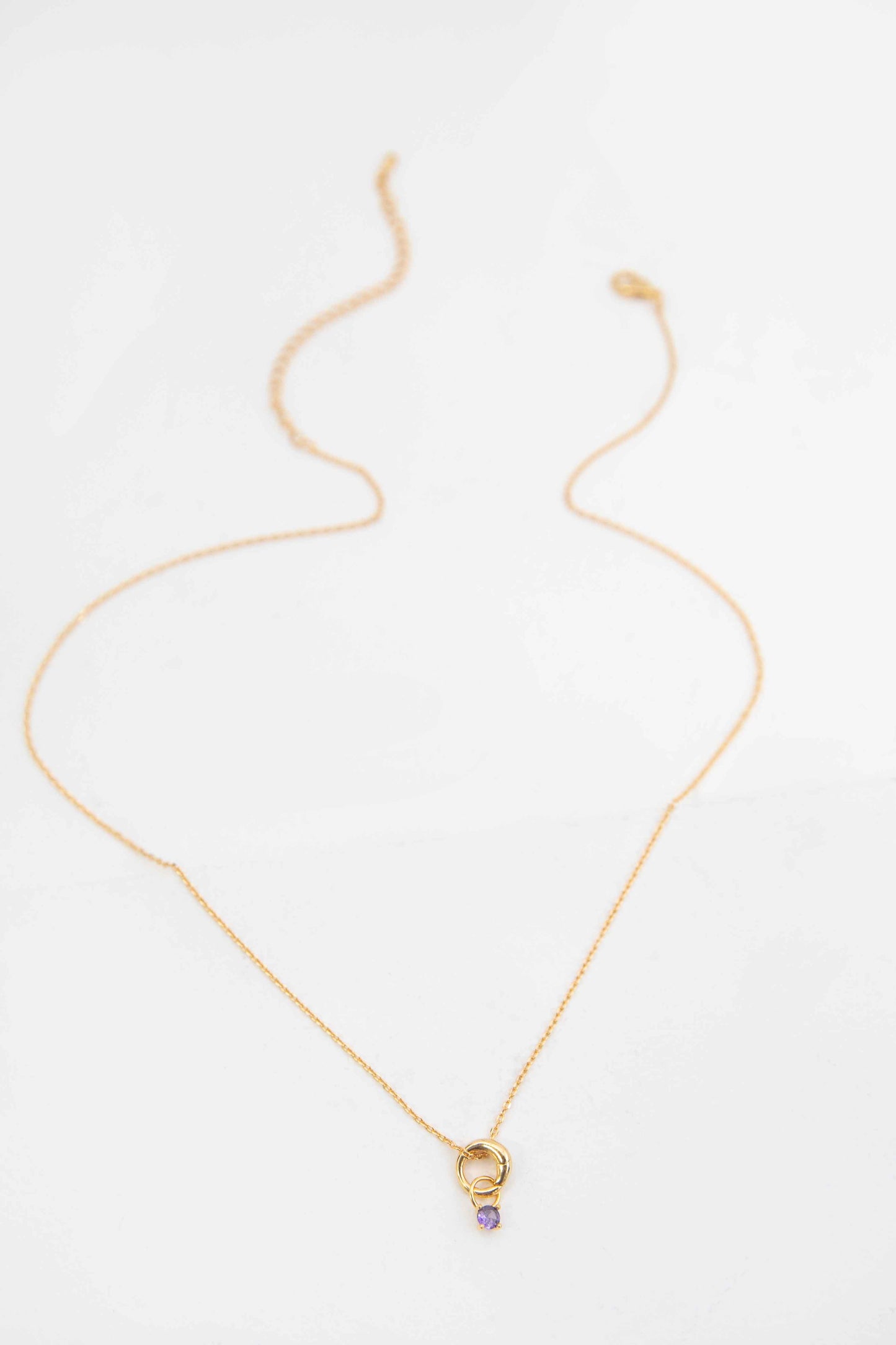 February Birthstone Charm Necklace | Gold
