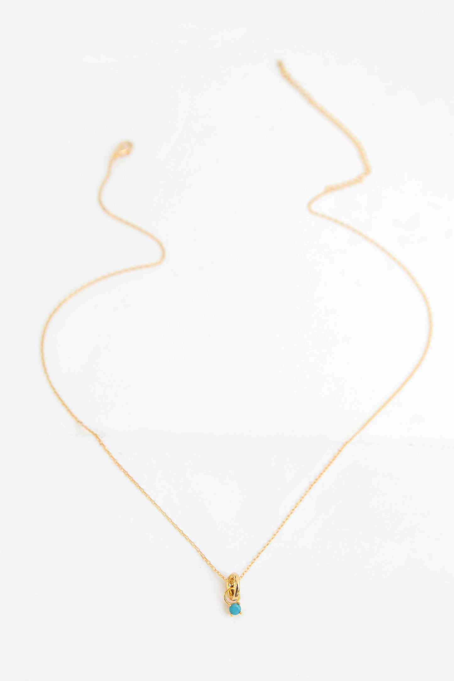 December Birthstone Charm Necklace | Gold