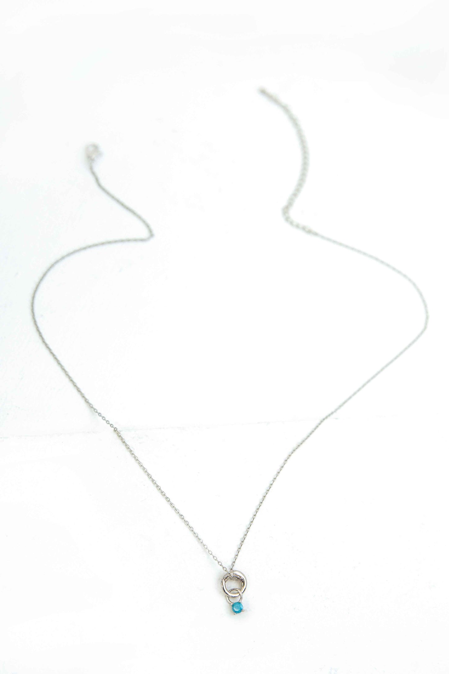 December Birthstone Charm Necklace | Silver
