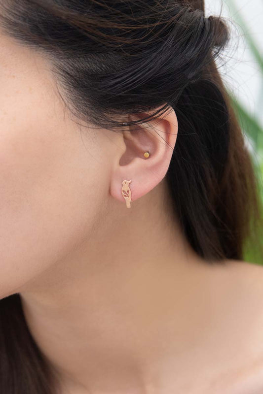 Jay Bird Earrings