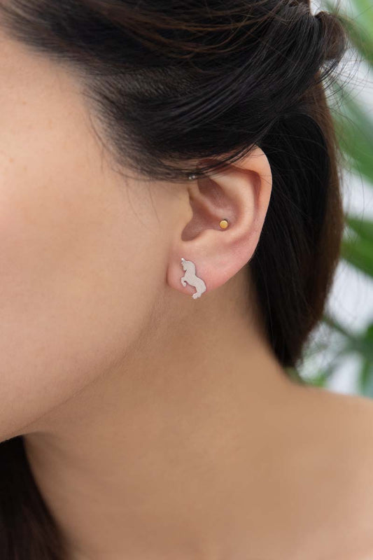 Unicorn Earrings