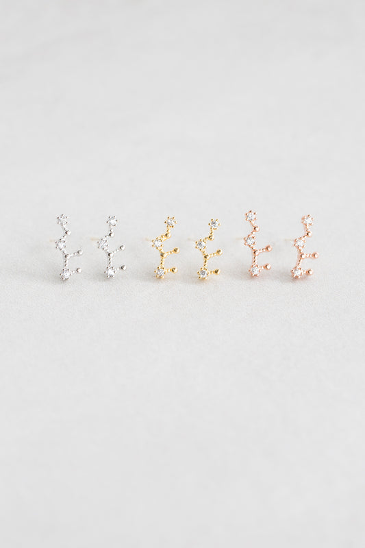 Virgo Zodiac Earrings