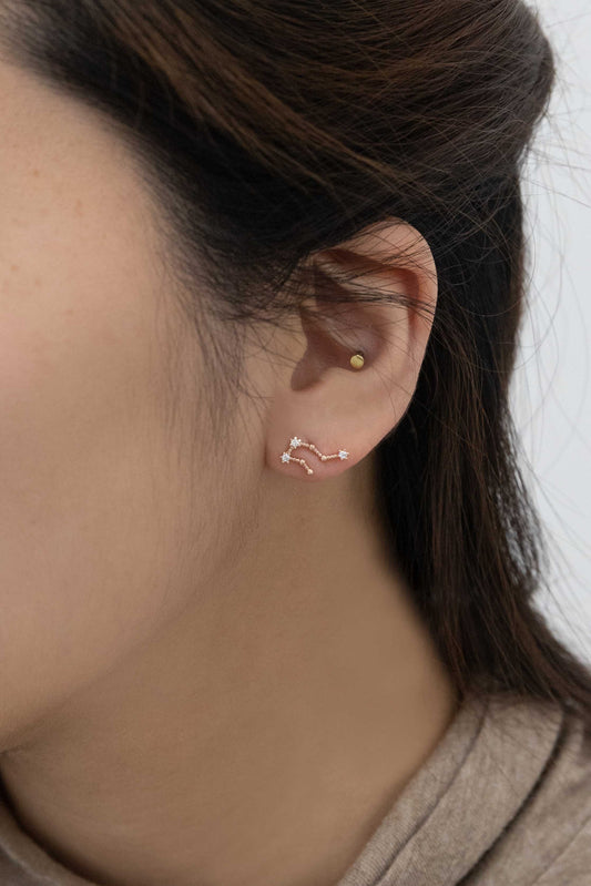 Aquarius Zodiac Earrings