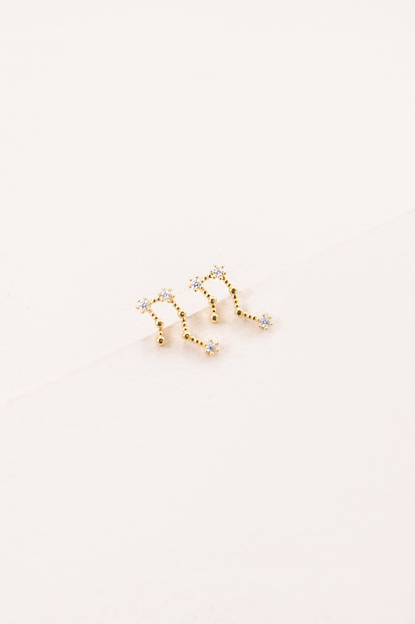 Aquarius Zodiac Earrings