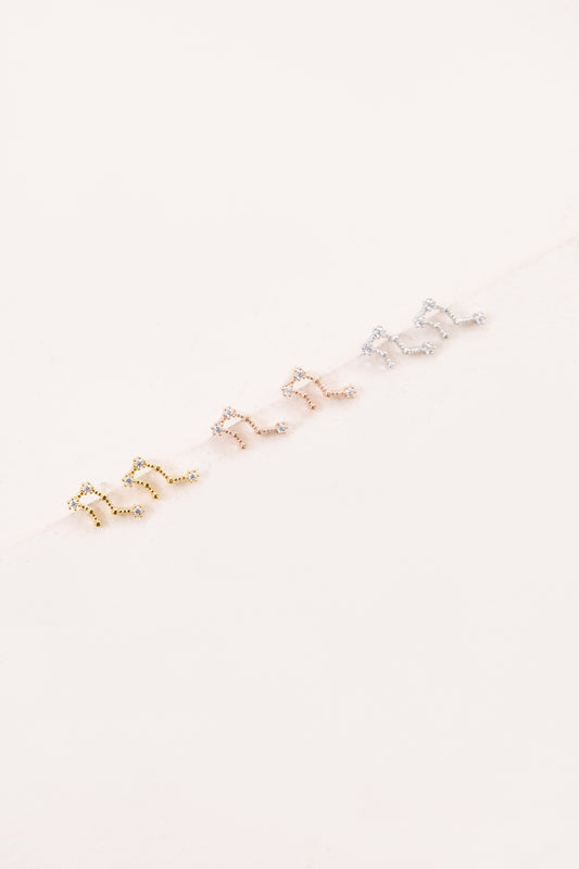 Aquarius Zodiac Earrings