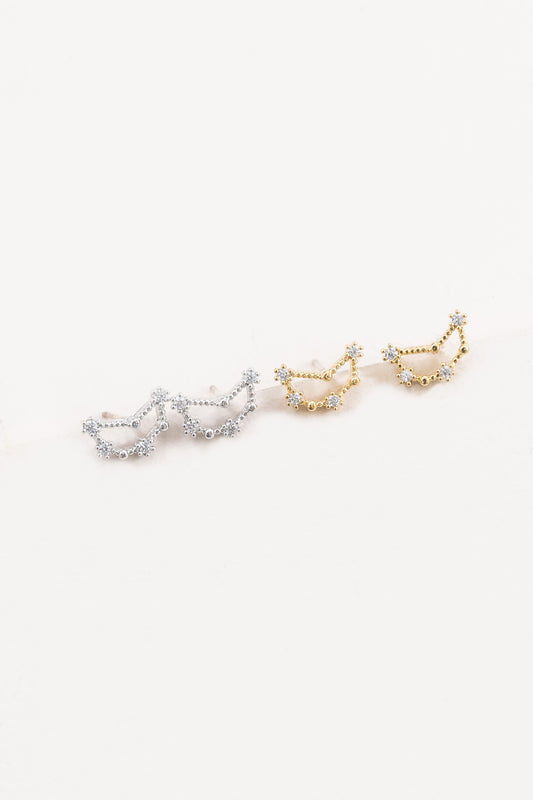 Capricorn Zodiac Earrings