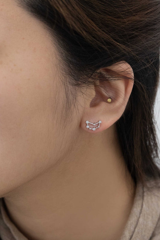 Capricorn Zodiac Earrings