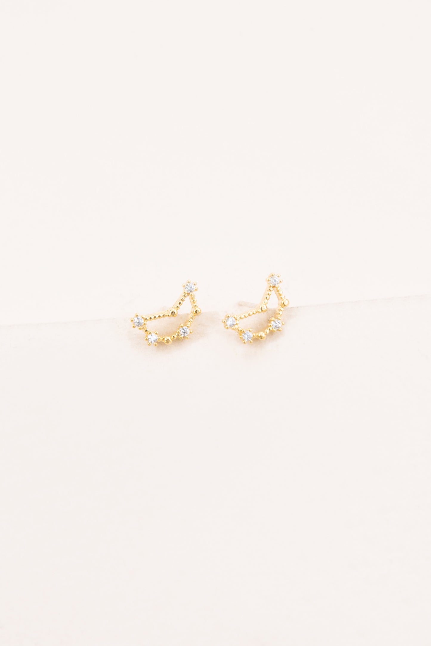 Capricorn Zodiac Earrings