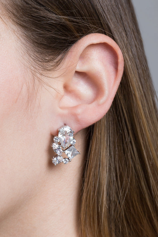 All Charming Earrings (sterl.)