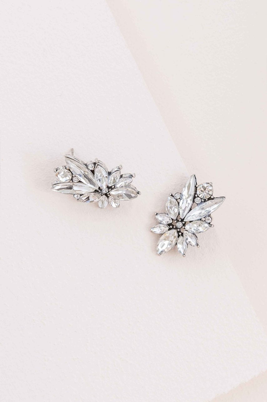 Wondrous Array Earrings