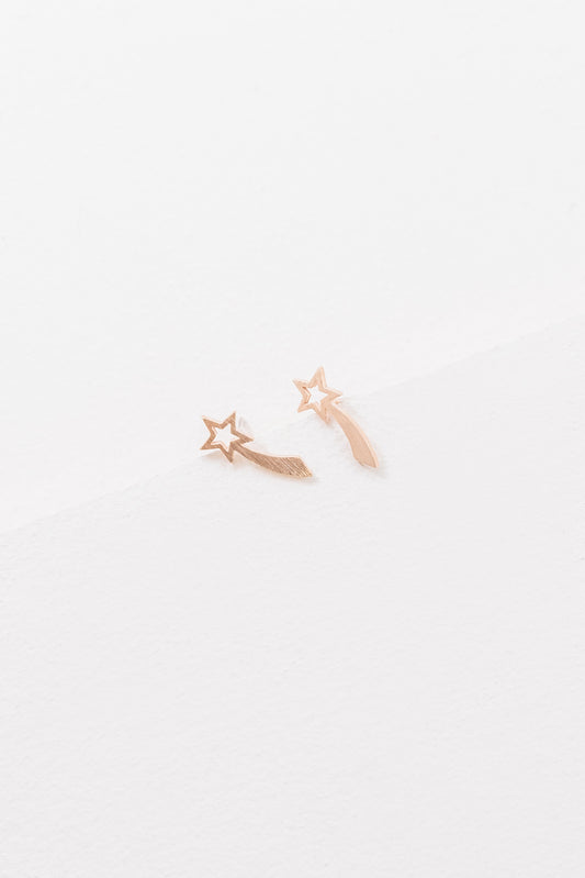 Evening Star Earrings