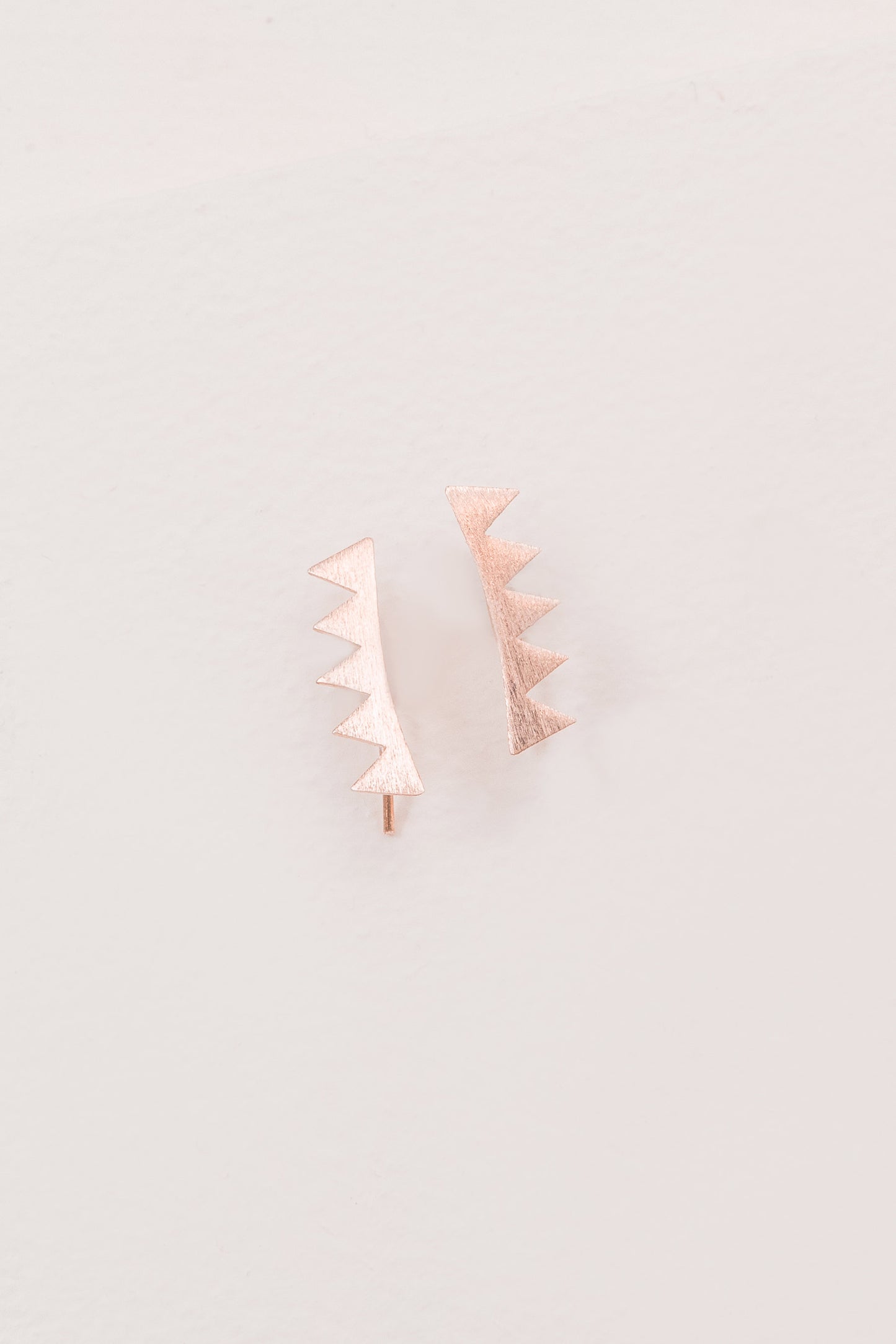 Spiked Ear Pin Earrings