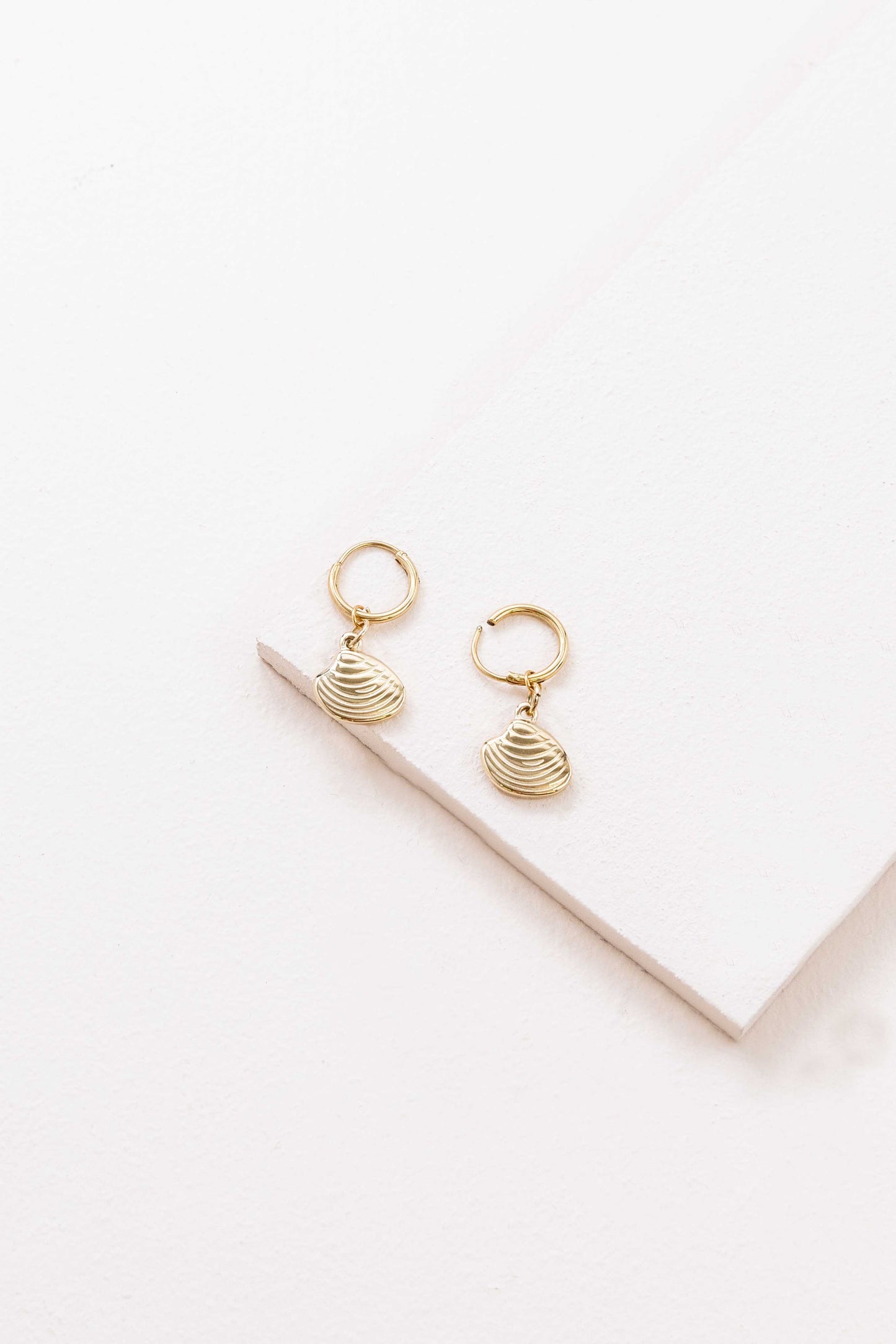Happy as a Clam Hoop Earrings (14K)