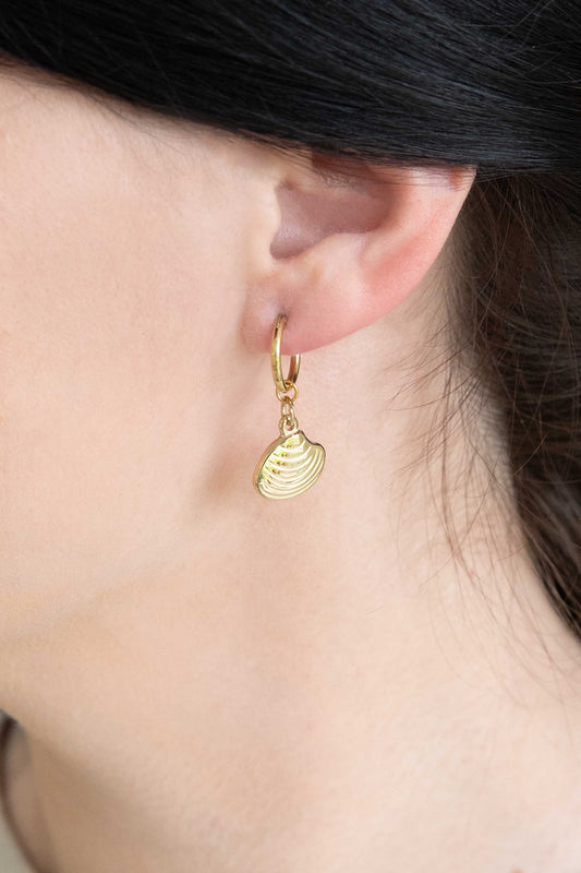 Happy as a Clam Hoop Earrings (14K)
