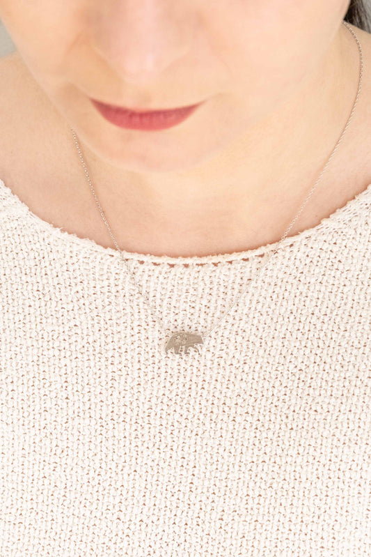 California Grizzly Necklace