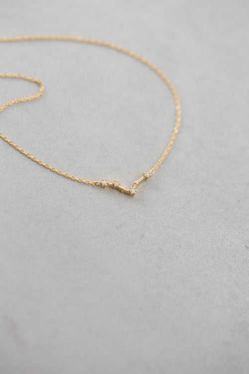 Pisces Zodiac Necklace