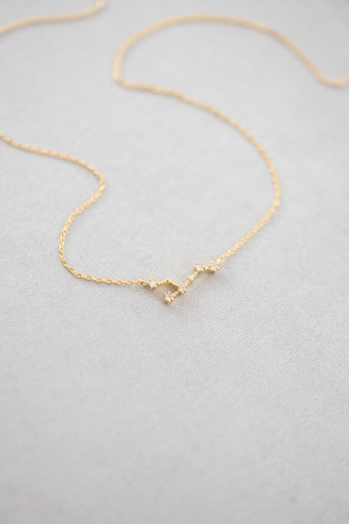Leo Zodiac Necklace