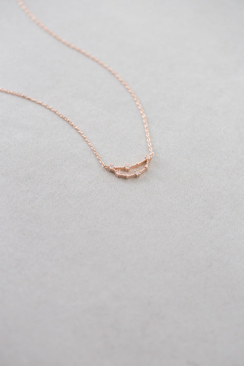 Capricorn Zodiac Necklace