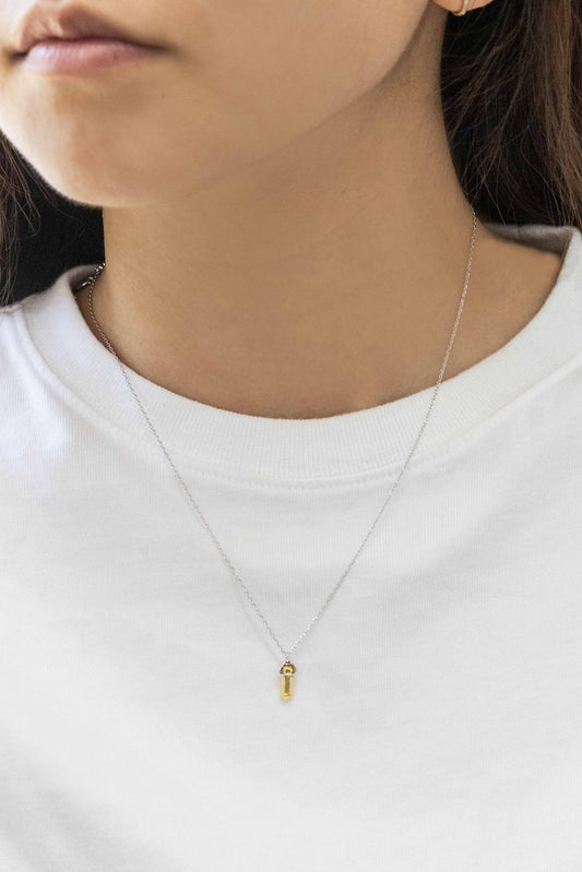 Two-tone Amulet Necklace