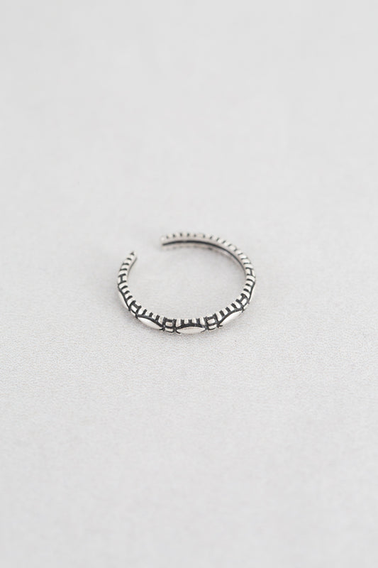 Charming Chance Ring (sterl.)