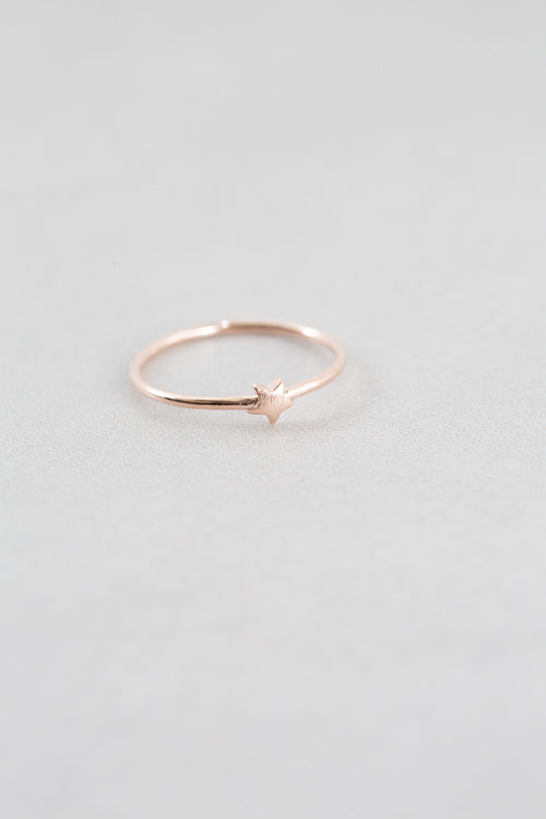 Brushed Star Ring