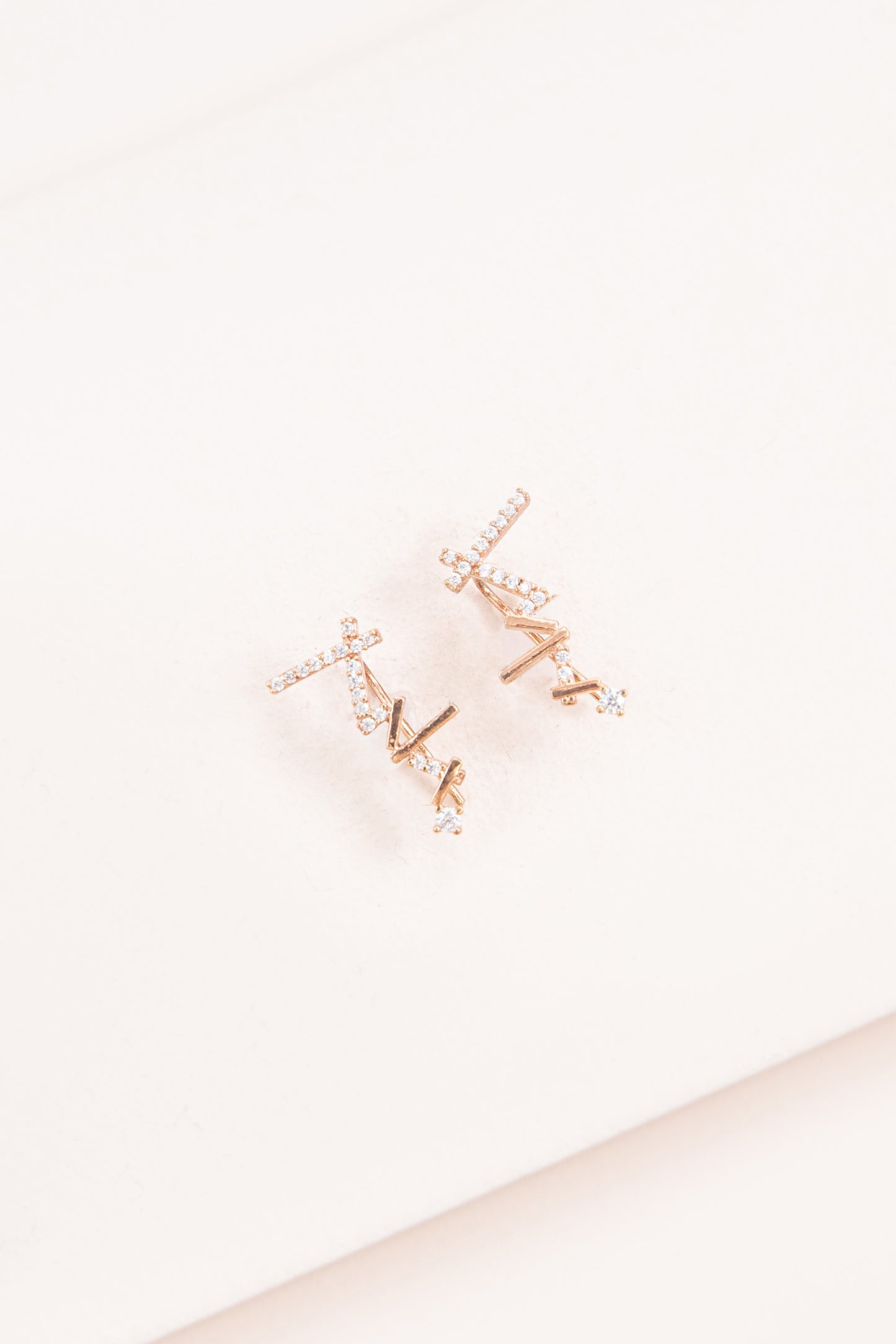 Sticks and Stones Ear Pin Earrings