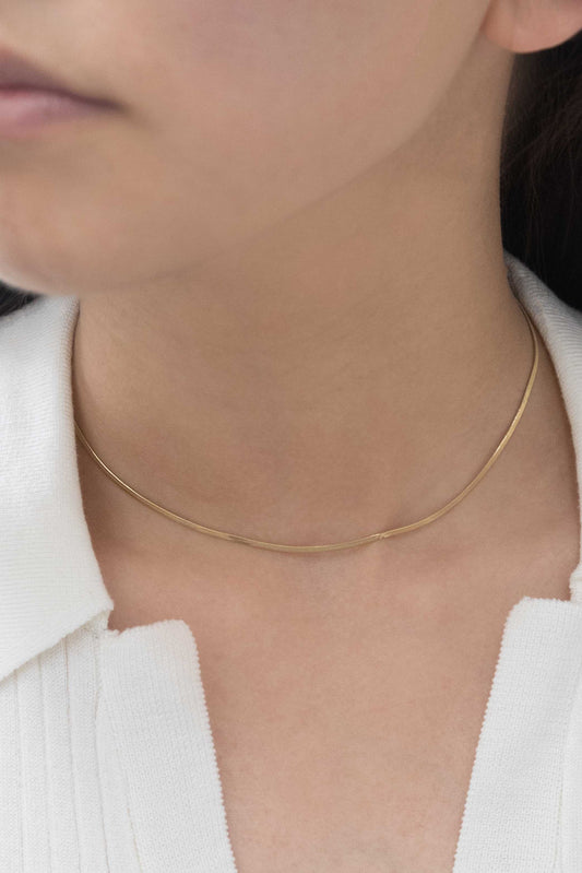 Snake Chain Choker Necklace