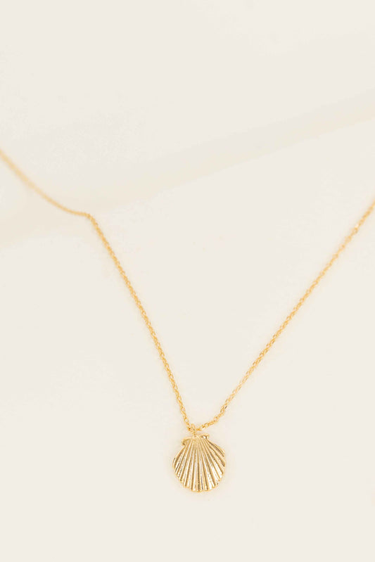 Shell Necklace | Gold