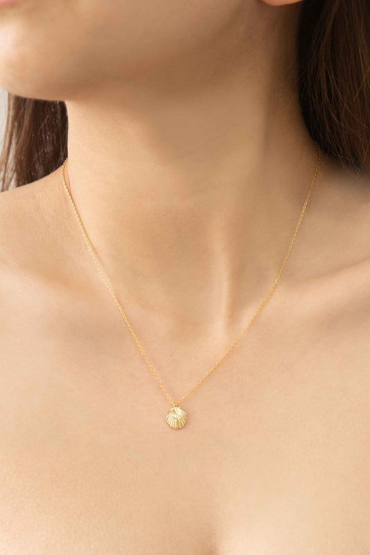 Shell Necklace | Gold