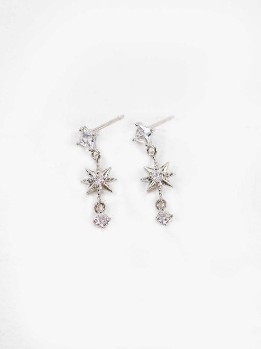 Castor Dangle Earrings | Silver