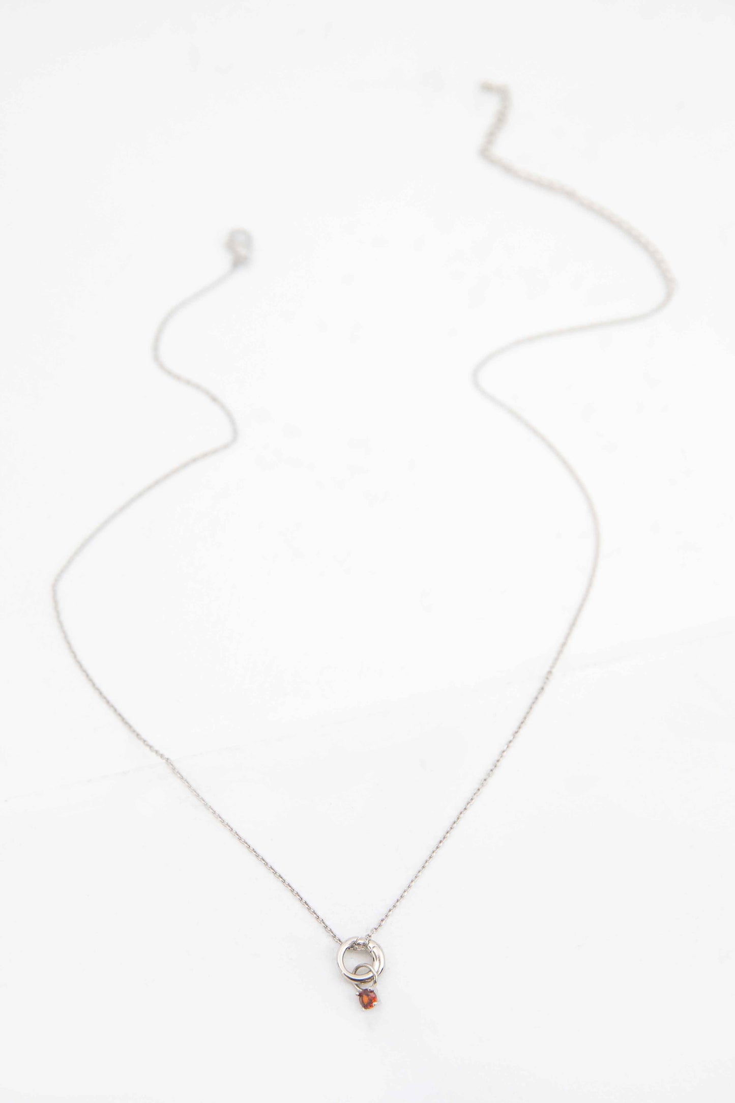 January Birthstone Charm Necklace | Silver