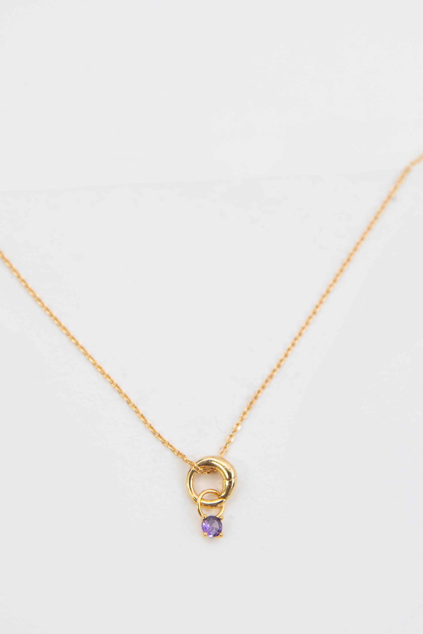 February Birthstone Charm Necklace | Gold