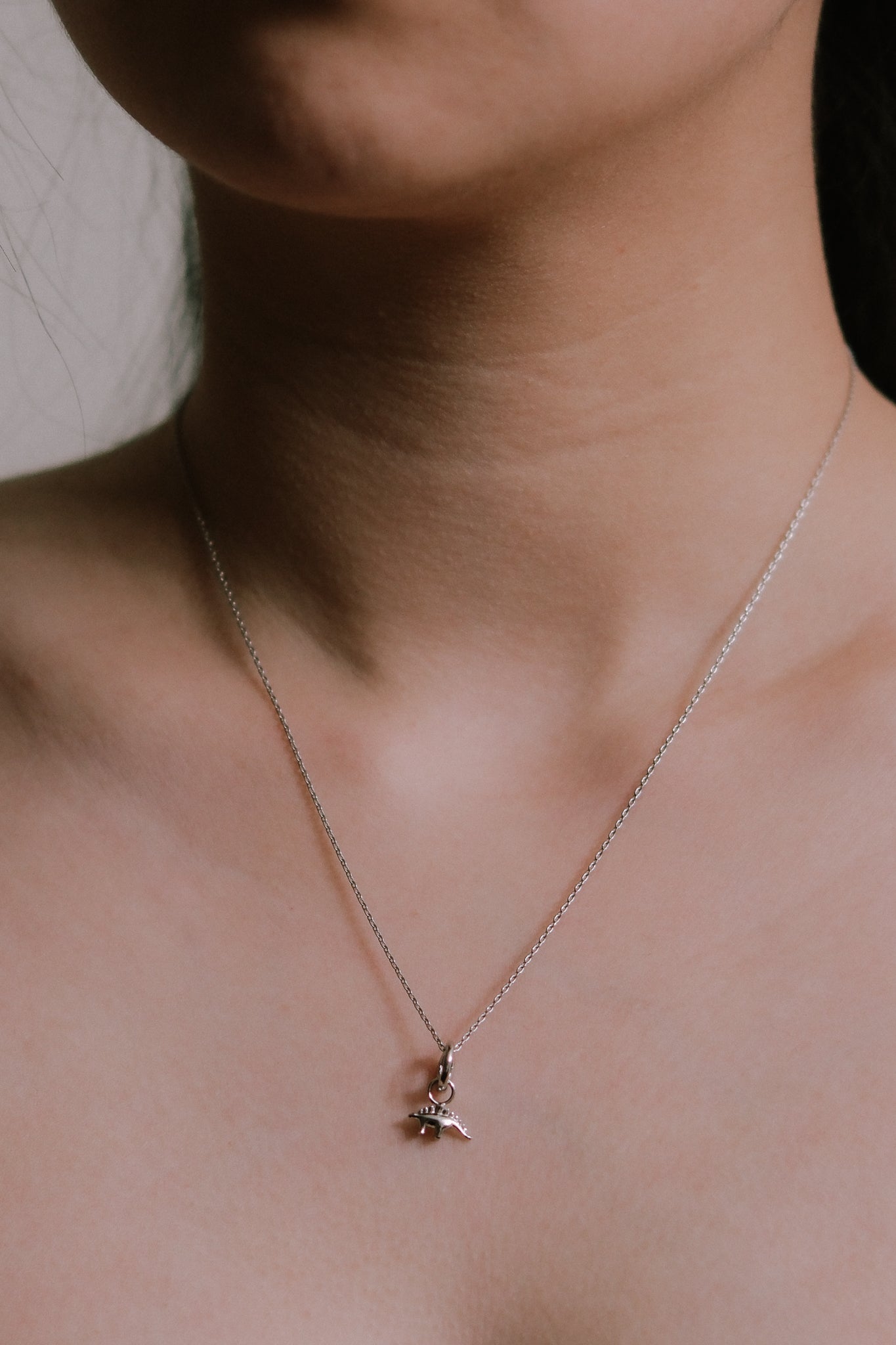 Stegosaurus Charm Necklace | Silver