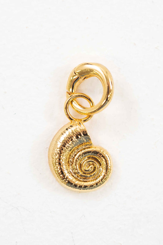 Shell Charm