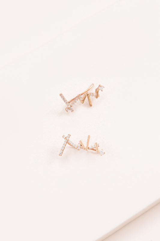 Sticks and Stones Ear Pin Earrings