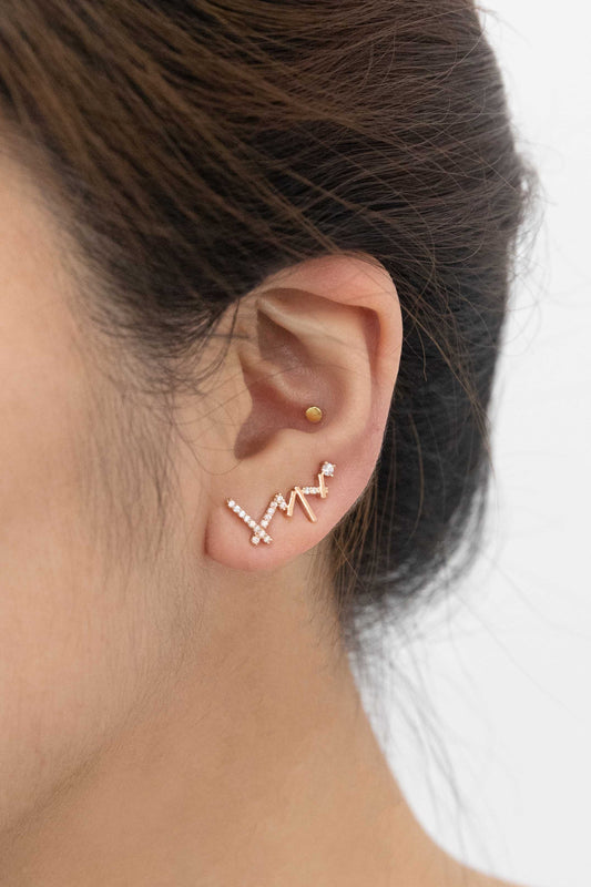 Sticks and Stones Ear Pin Earrings