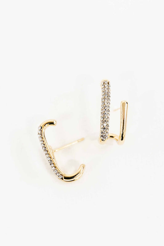 Notoriety Earrings